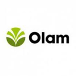 olam_