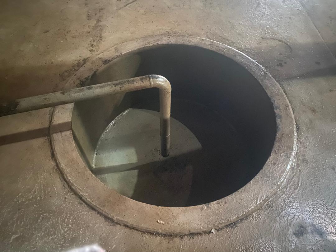 WhatsApp Image 2026-01-08 at 16.58.17 (1)